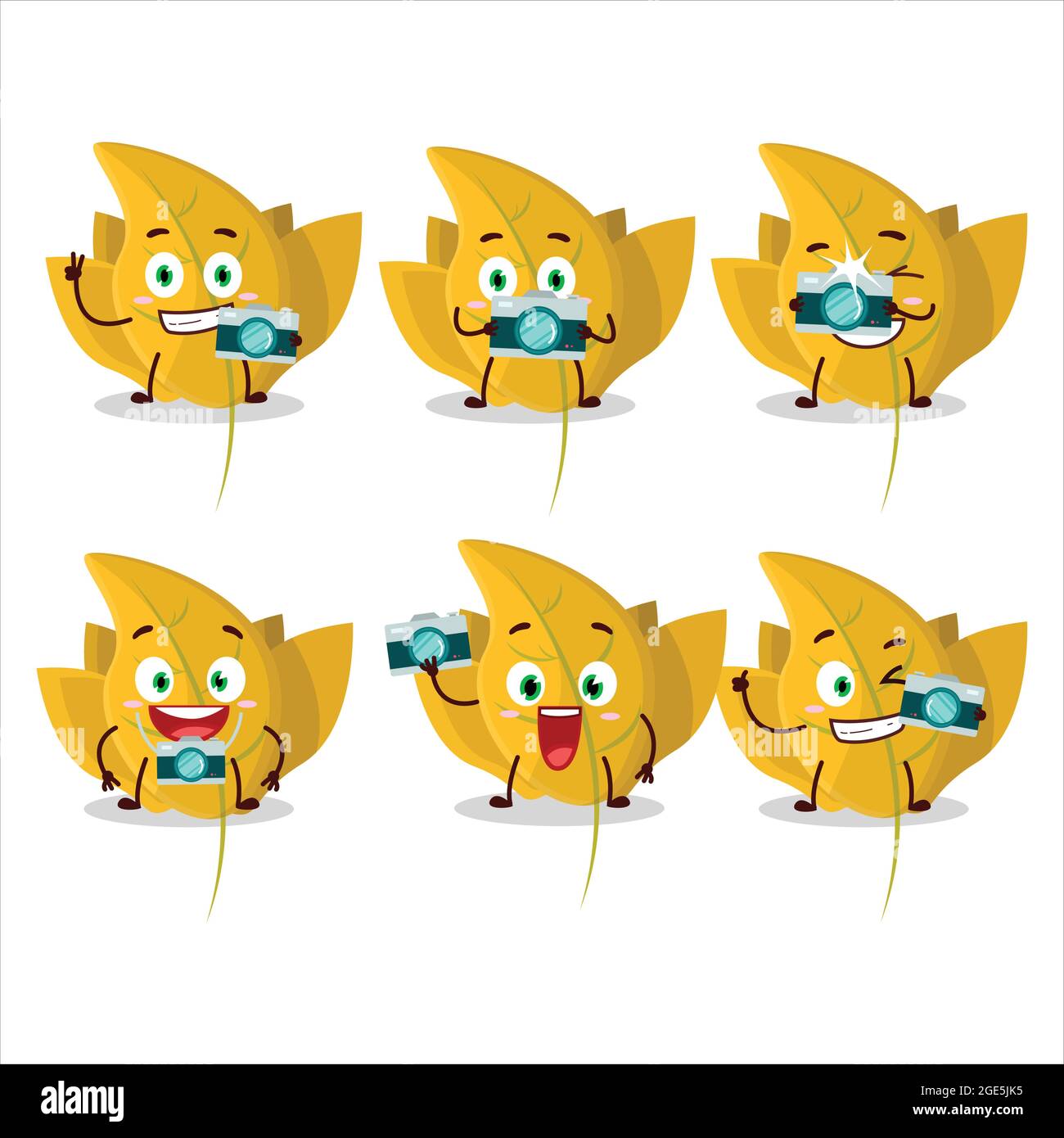 Photographer profession emoticon with conkers yellow leafz cartoon character. Vector illustration Stock Vector