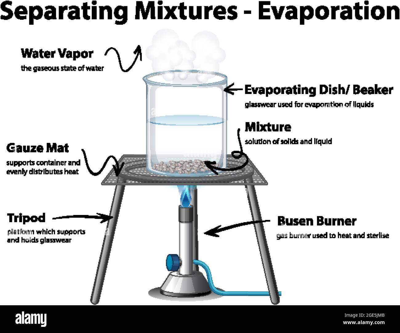 Diagram showing Evaporation Separating Mixtures illustration Stock Vector