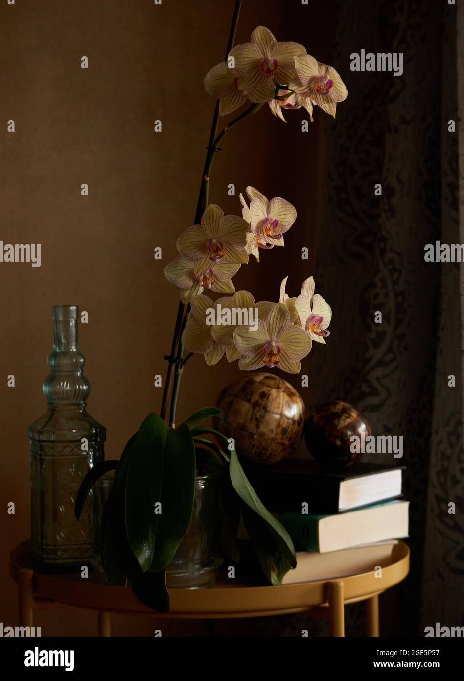 Orchids vase table hi-res stock photography and images - Alamy