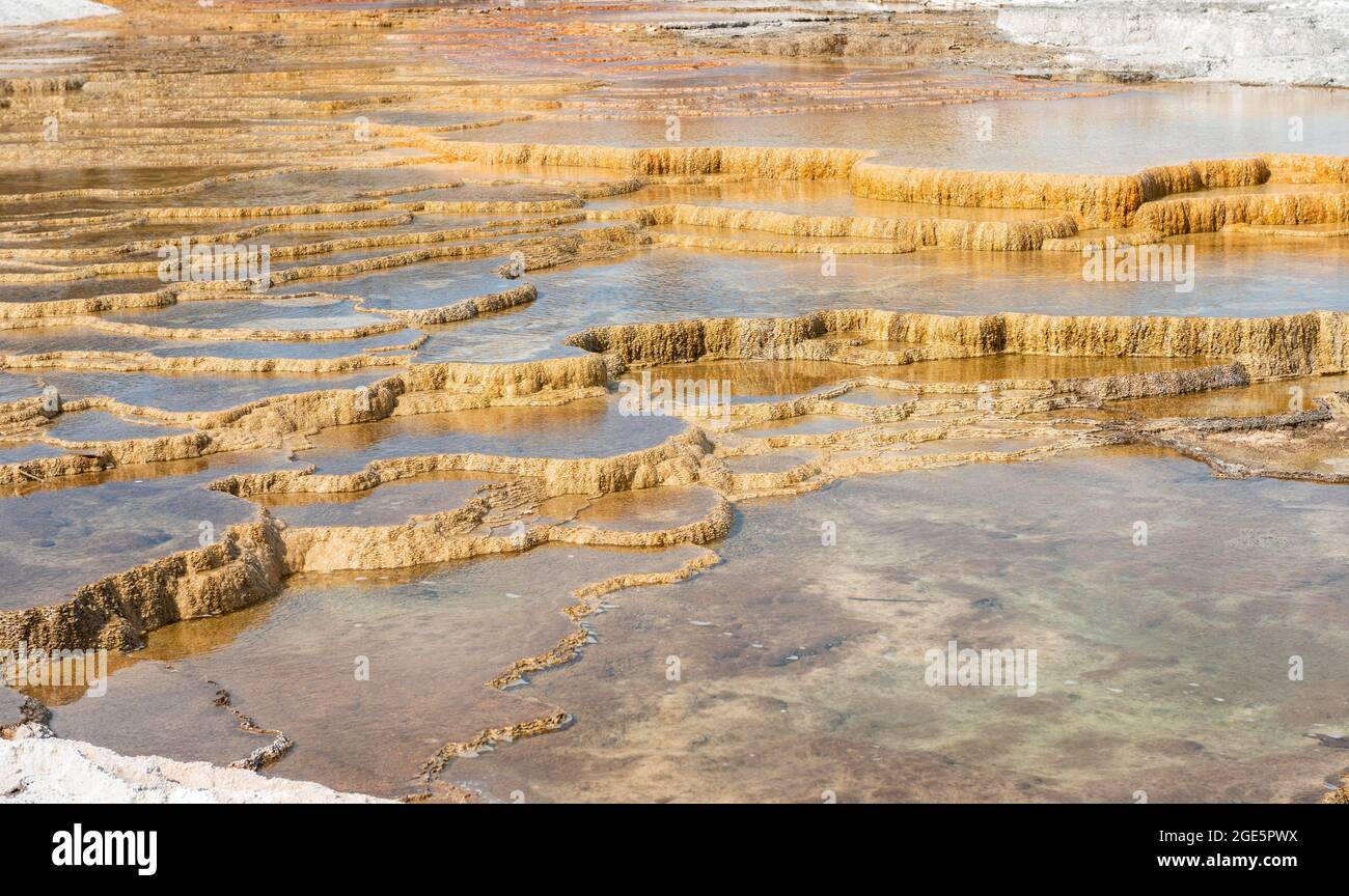 Sinter terraces, hot springs, orange mineral deposits, Palette Springs, Upper Terraces, Mammoth Hot Springs, Yellowstone National Park, Wyoming, USA Stock Photo