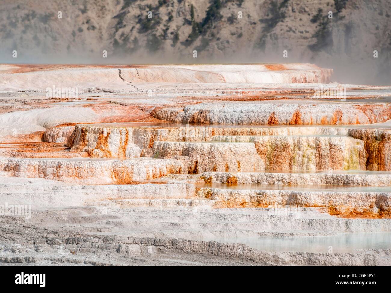 Sinter terraces with calcareous tuff deposits, hot springs, colorful mineral deposits, Palette Springs, Lower Terraces, Mammoth Hot Springs Stock Photo