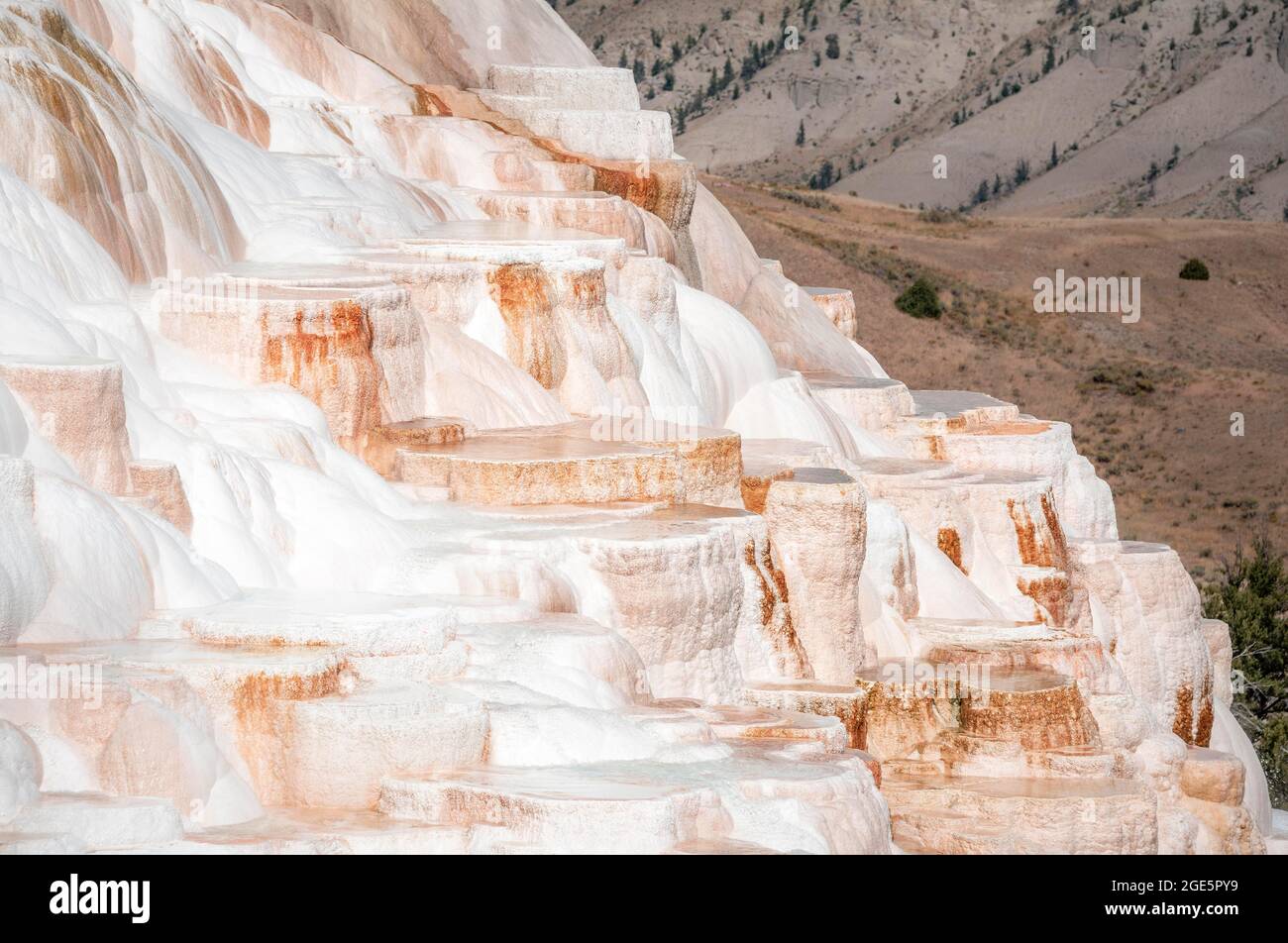 Sinter terraces with calcareous tuff deposits, hot springs, colorful mineral deposits, Palette Springs, Lower Terraces, Mammoth Hot Springs Stock Photo