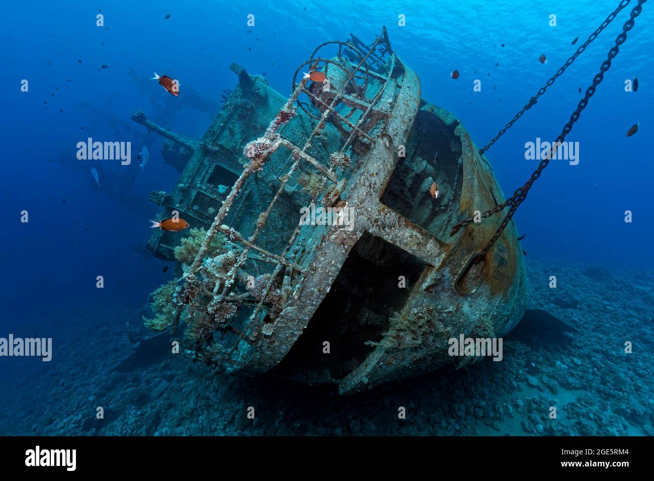 Cedar Pride, Stern, Wreck, Shipwreck, Red Sea, Aqaba, Jordan Stock Photo -  Alamy