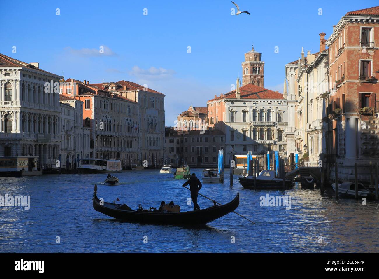 Gondola on the Grand Canal, f.l.t.r. Ca' Rezzonico, Palazzo Bernardo Nani, Ca' Bernardo, Palazzo Giustinian, Ca' Foscari, Palazzo Balbi, Venice Stock Photo