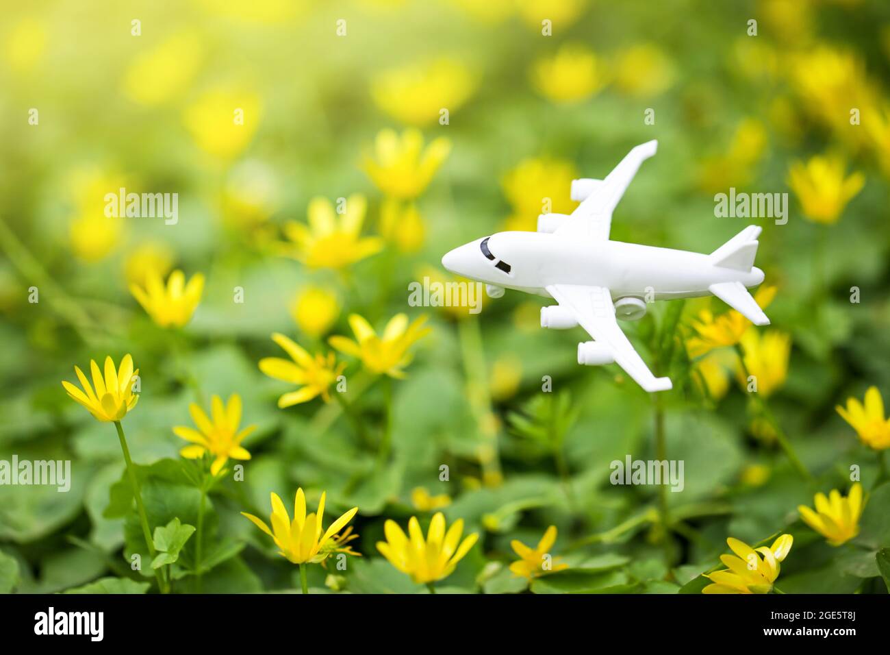 Sustainable Aviation Fuel. White airplane model on flower fresh green leaves background. Clean and Green energy, Biofuel for aviation industry. Stock Photo