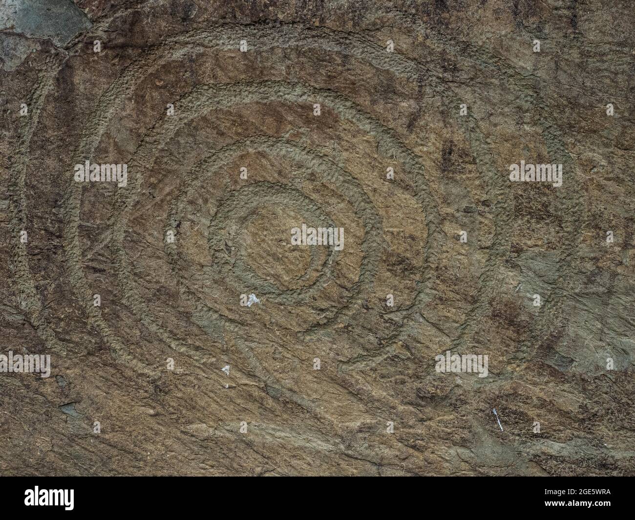 Rock engraving on Neolithic passage grave, Knowth,Unesco world heritage sight, prehstoric Bru na Boinne, Ireland Stock Photo
