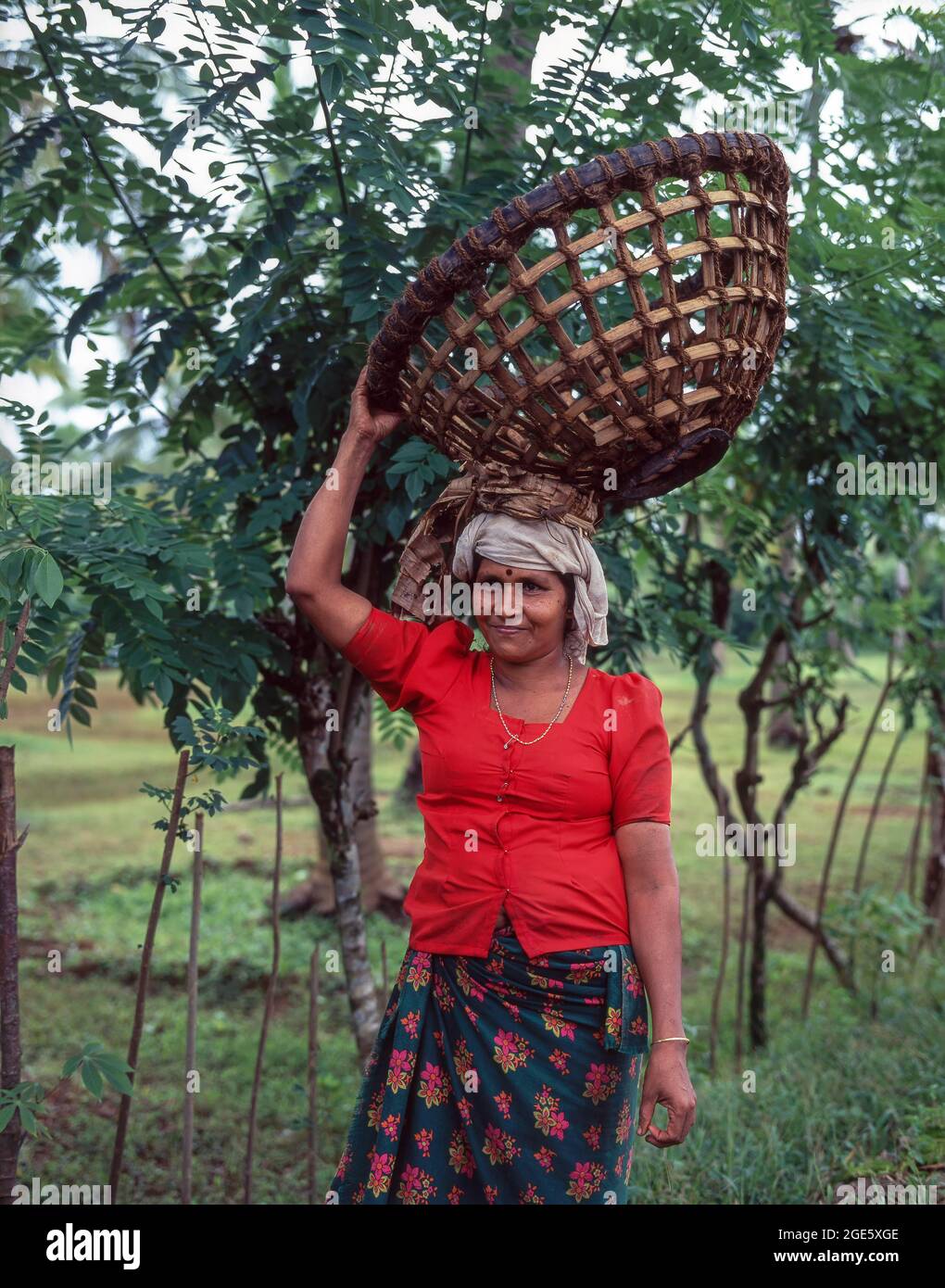 Coconut collecting woman holding a basket on head, Kerala, India Stock Photo