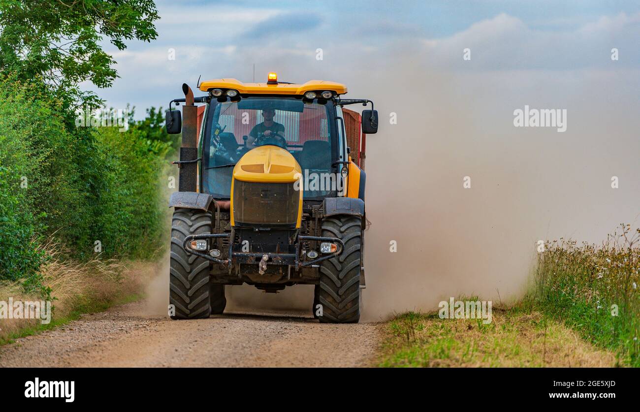 A yellow tractor towing a trailer speeding along a narrow farm track carting corn at harvest time and throwing up a dust cloud behind Stock Photo