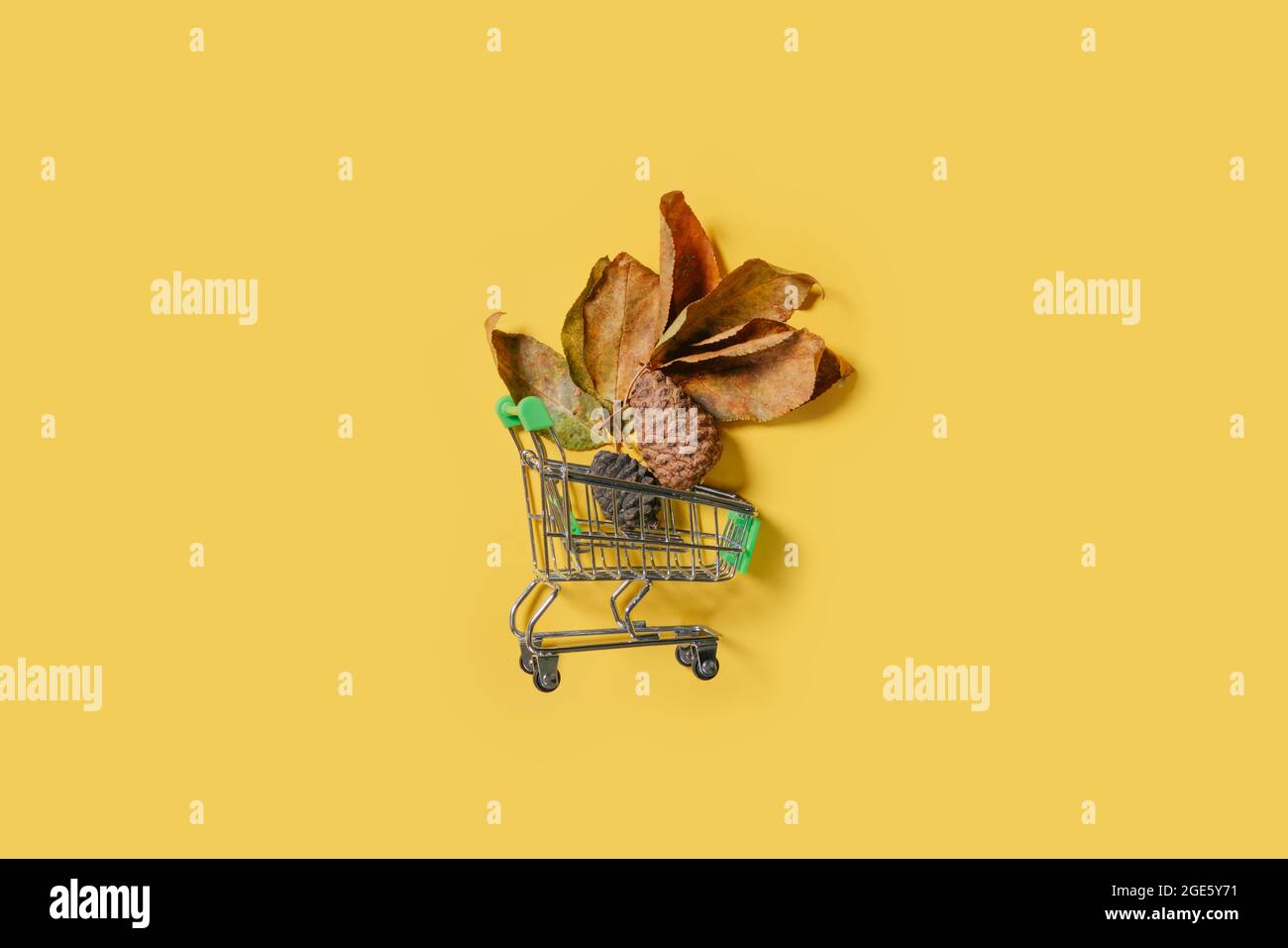 Autumn shopping concept - shopping cart and fall leaves and pine cones