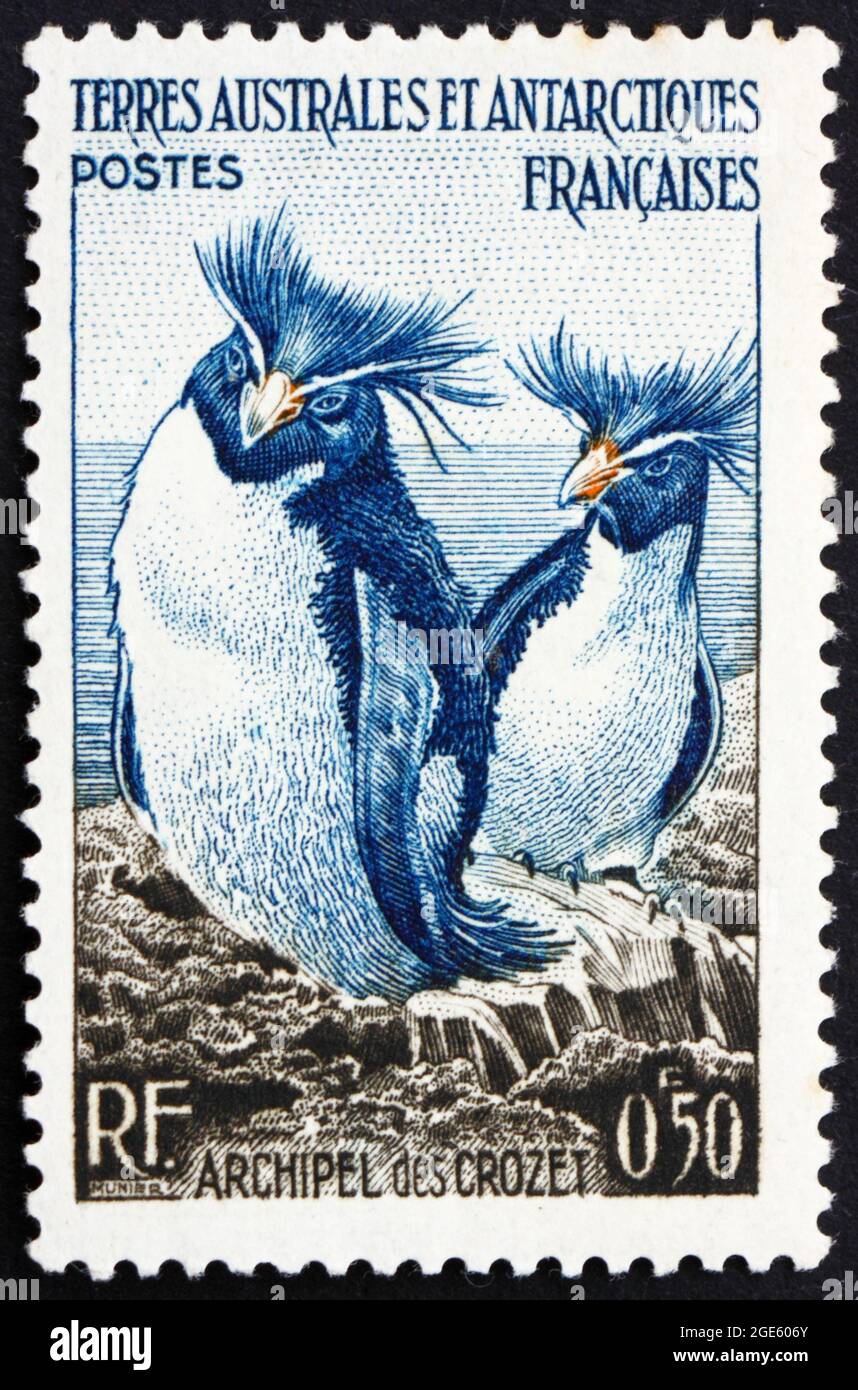 FRENCH SOUTHERN AND ANTARCTIC TERRITORIES - CIRCA 1956: a stamp printed in the France shows Rockhopper Penguins, Eudyptes Crysocome, Crozet Archipelag Stock Photo
