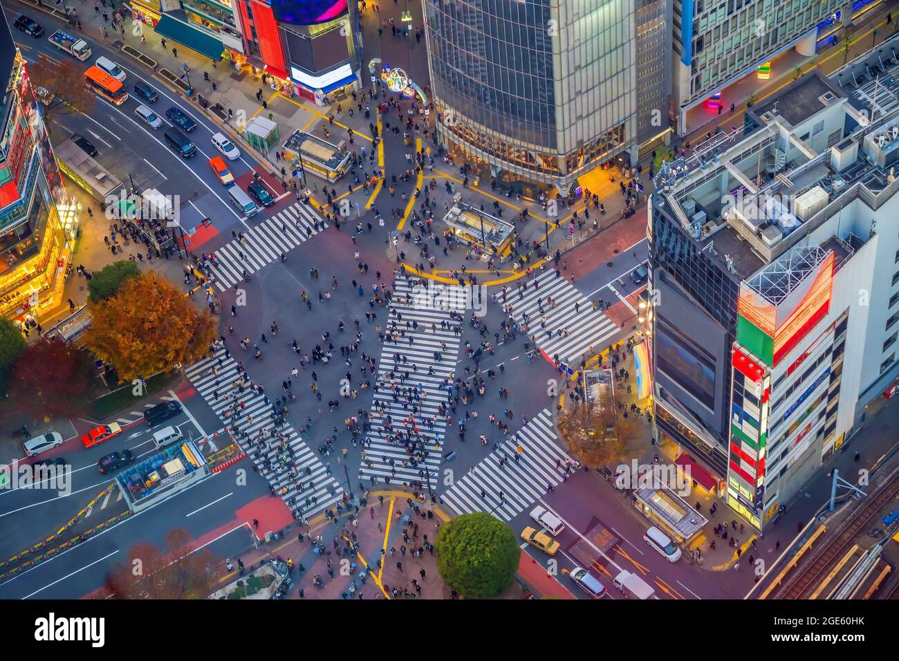 Shibuya Crossing from top view at night in Tokyo, Japan Stock Photo