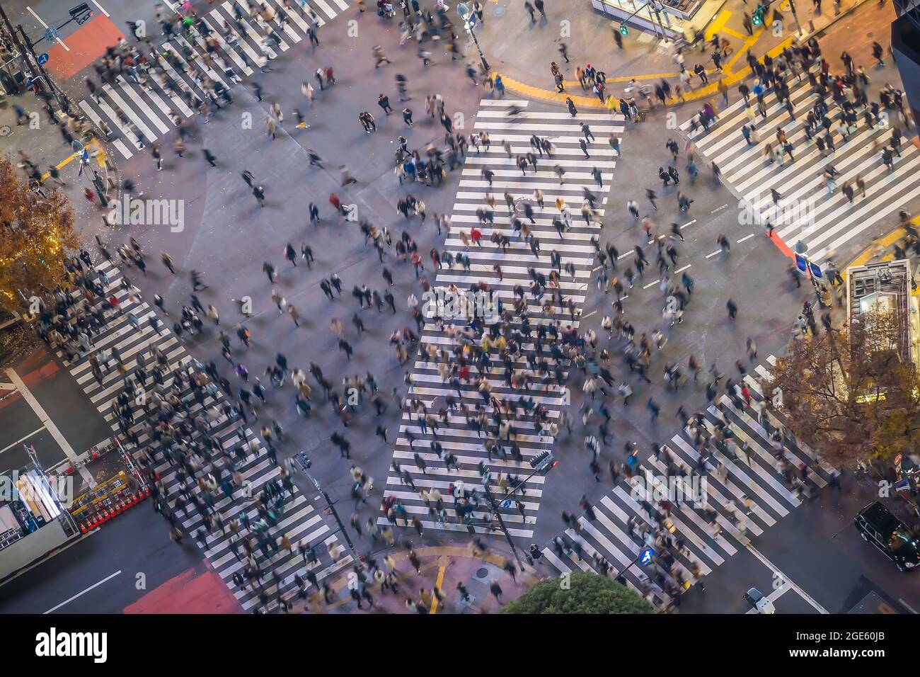 Shibuya Crossing from top view at night in Tokyo, Japan (slow shutter speed blur effect) Stock Photo