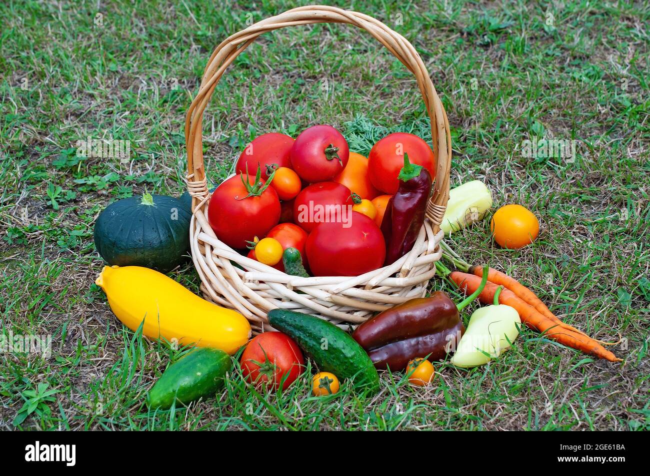 Fresh vegetables in a basket. Stock Photo