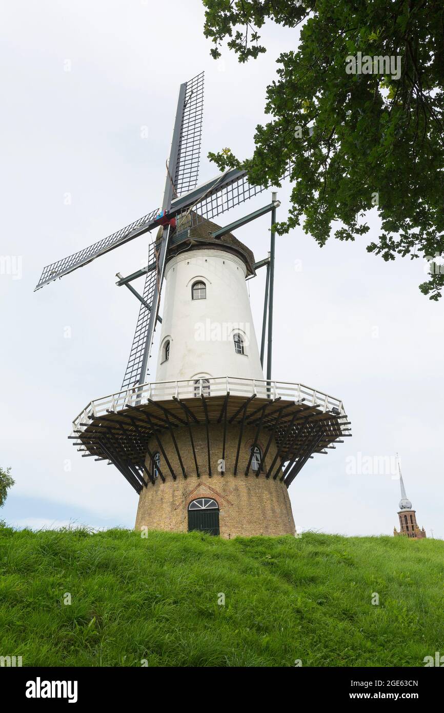 Windmill "de witte juffer" in IJzendijke, the Netherlands Stock Photo