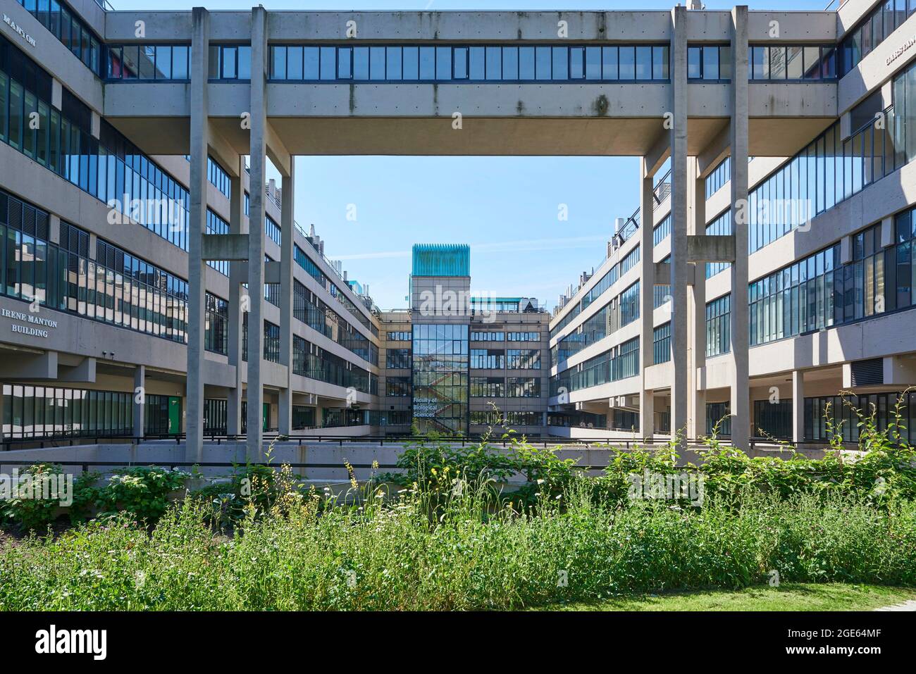 Brutalist architecture concrete buildings at Leeds University campus