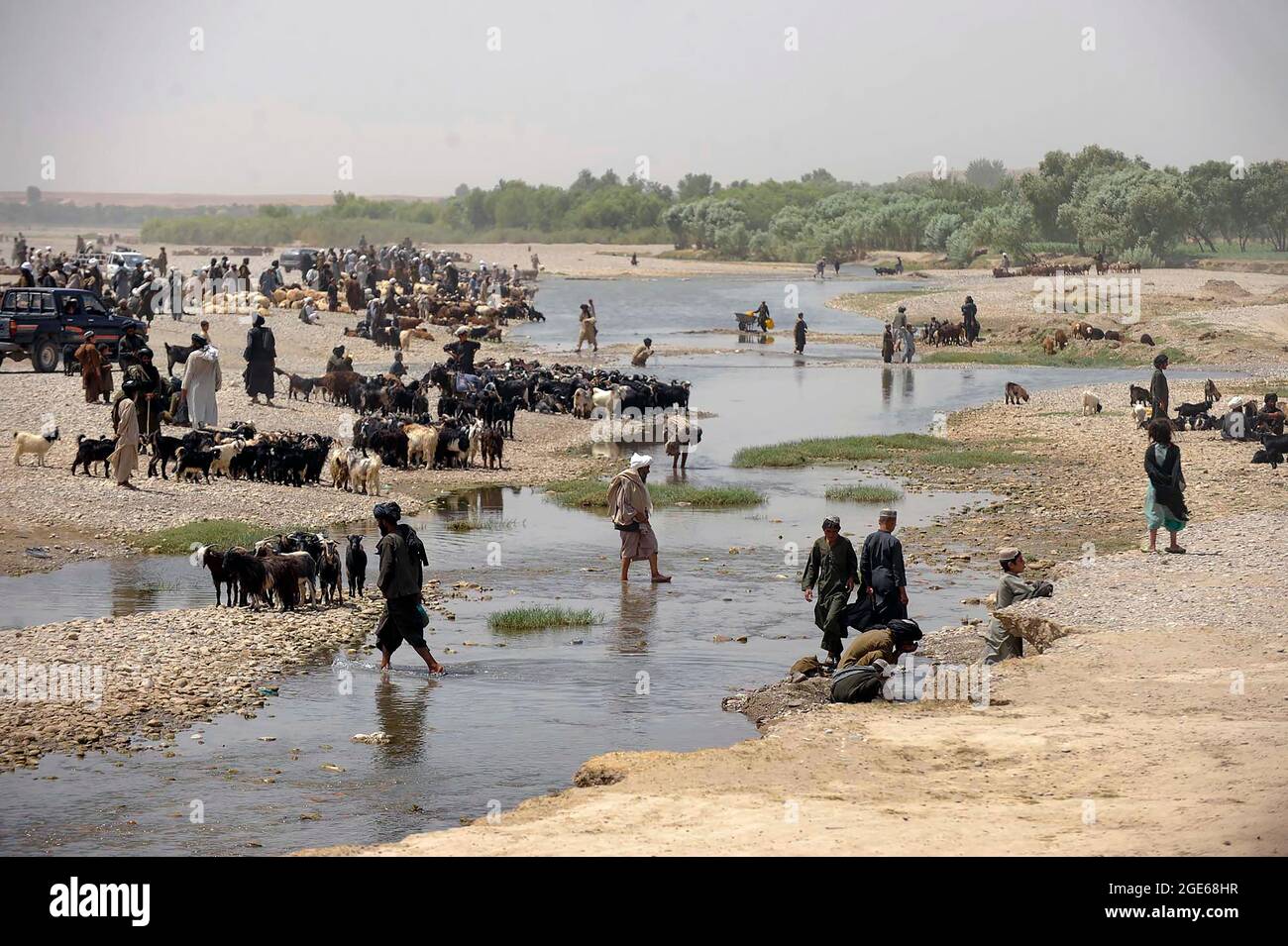 Herdsmen water their animals in the Musa Qala river wadi, Helmand province Afghanistan. Stock Photo