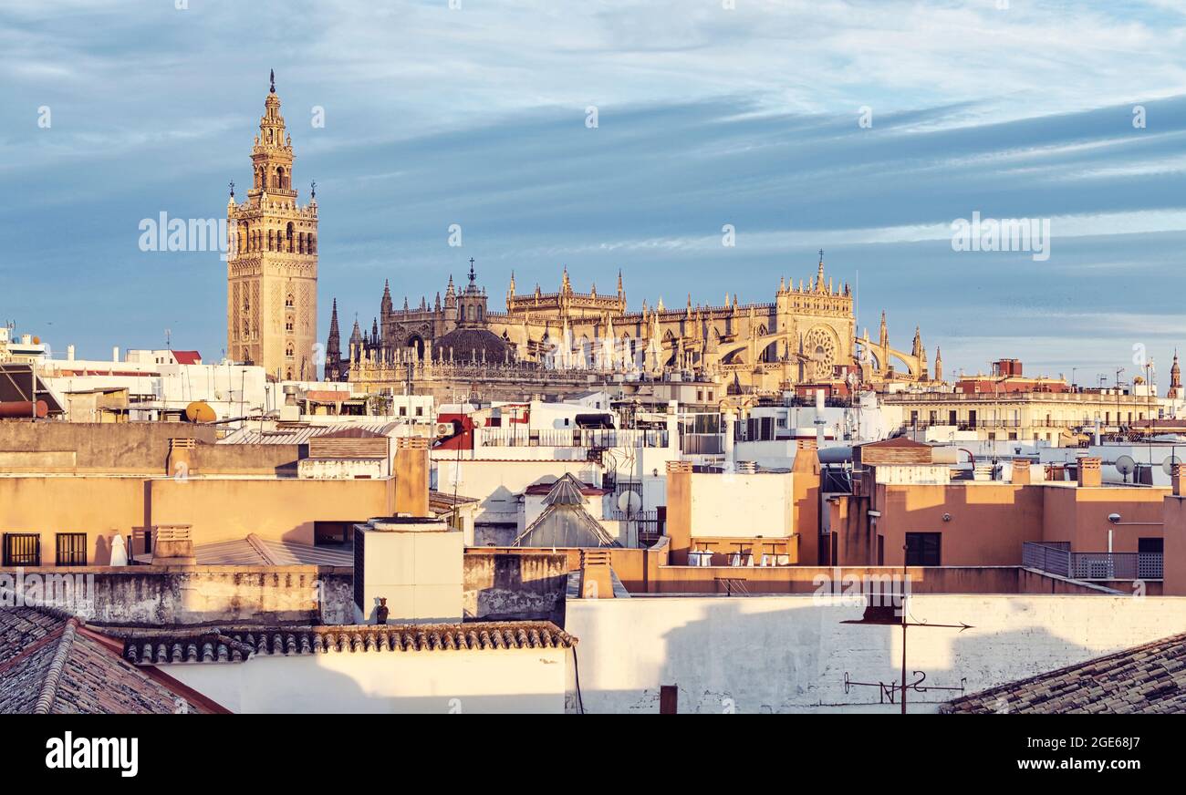 Rooftop view of the Seville Cathedral and buildings Stock Photo