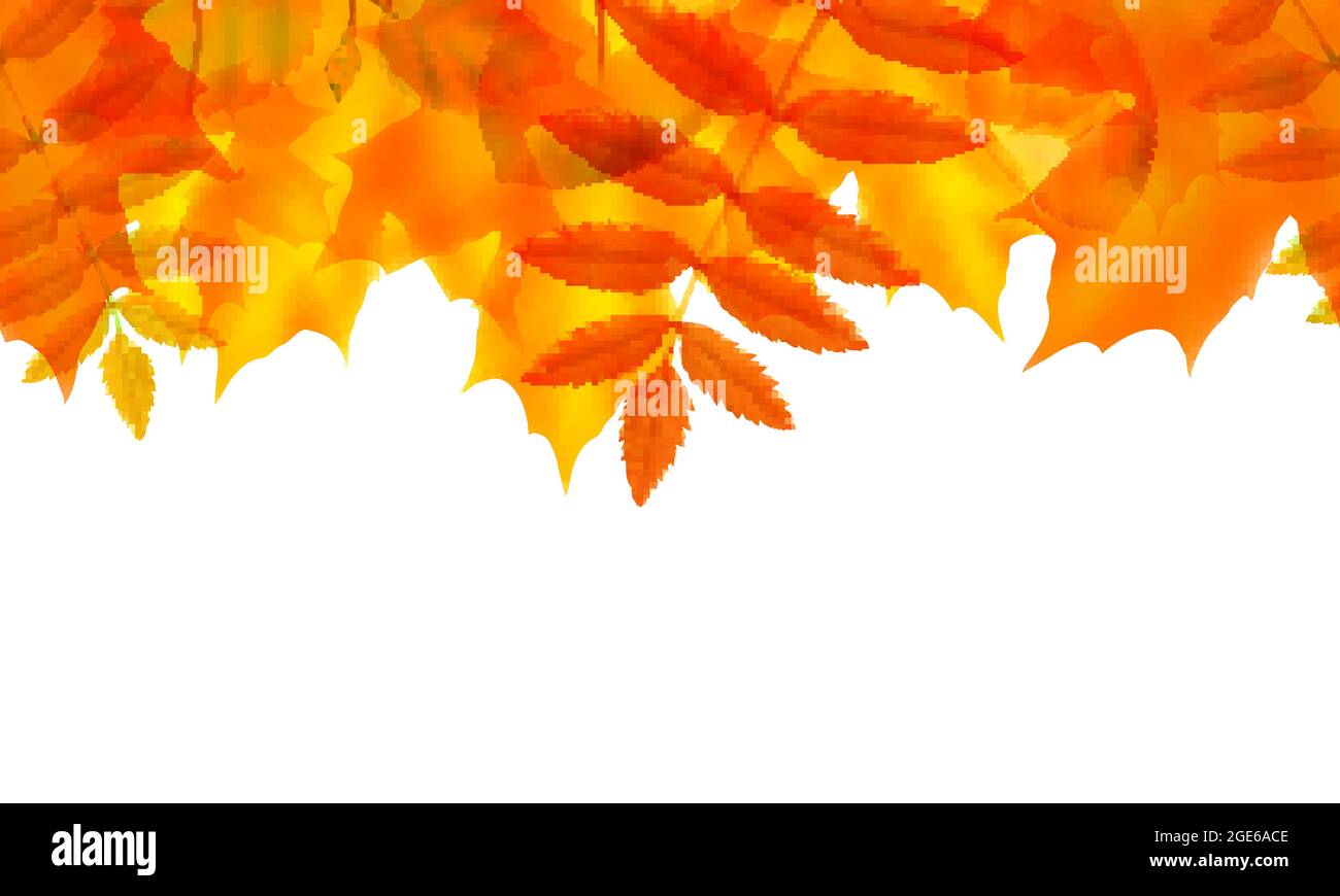 Seamless border with autumn leaves, vector illustration Stock Vector ...