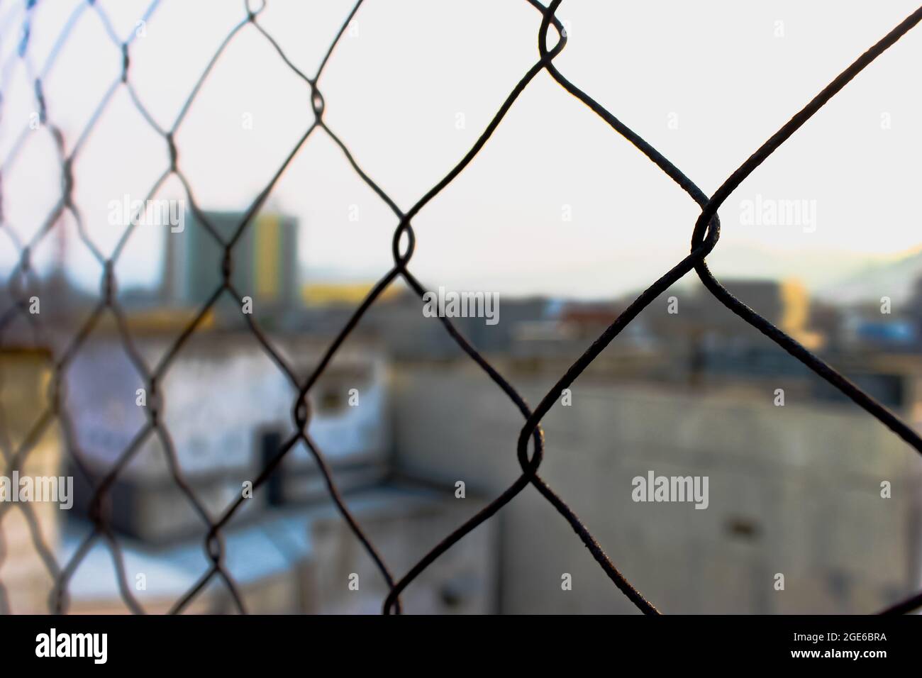 Wire netting installed for fence barrier Stock Photo Alamy