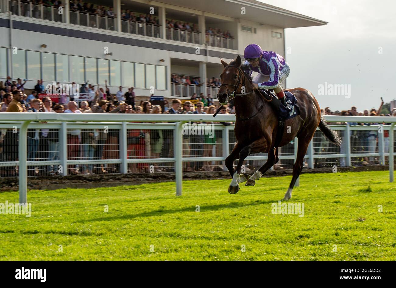 Wins british stallion studs ebf maiden stakes windsor racecourse hires stock photography and
