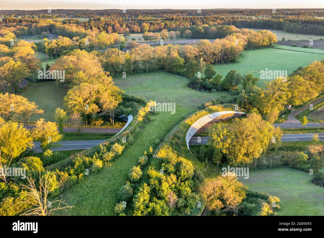 The Netherlands, Wierden. Wildlife bridge, Wildlife crossing. Ecoduct