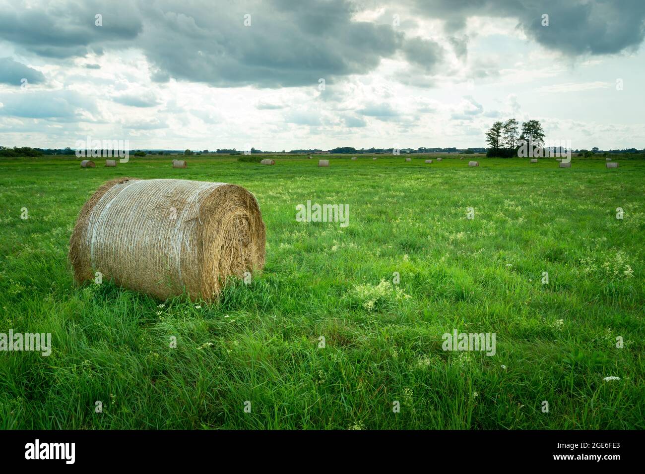 A hay bale lying on a green meadow, Czulczyce, Poland Stock Photo
