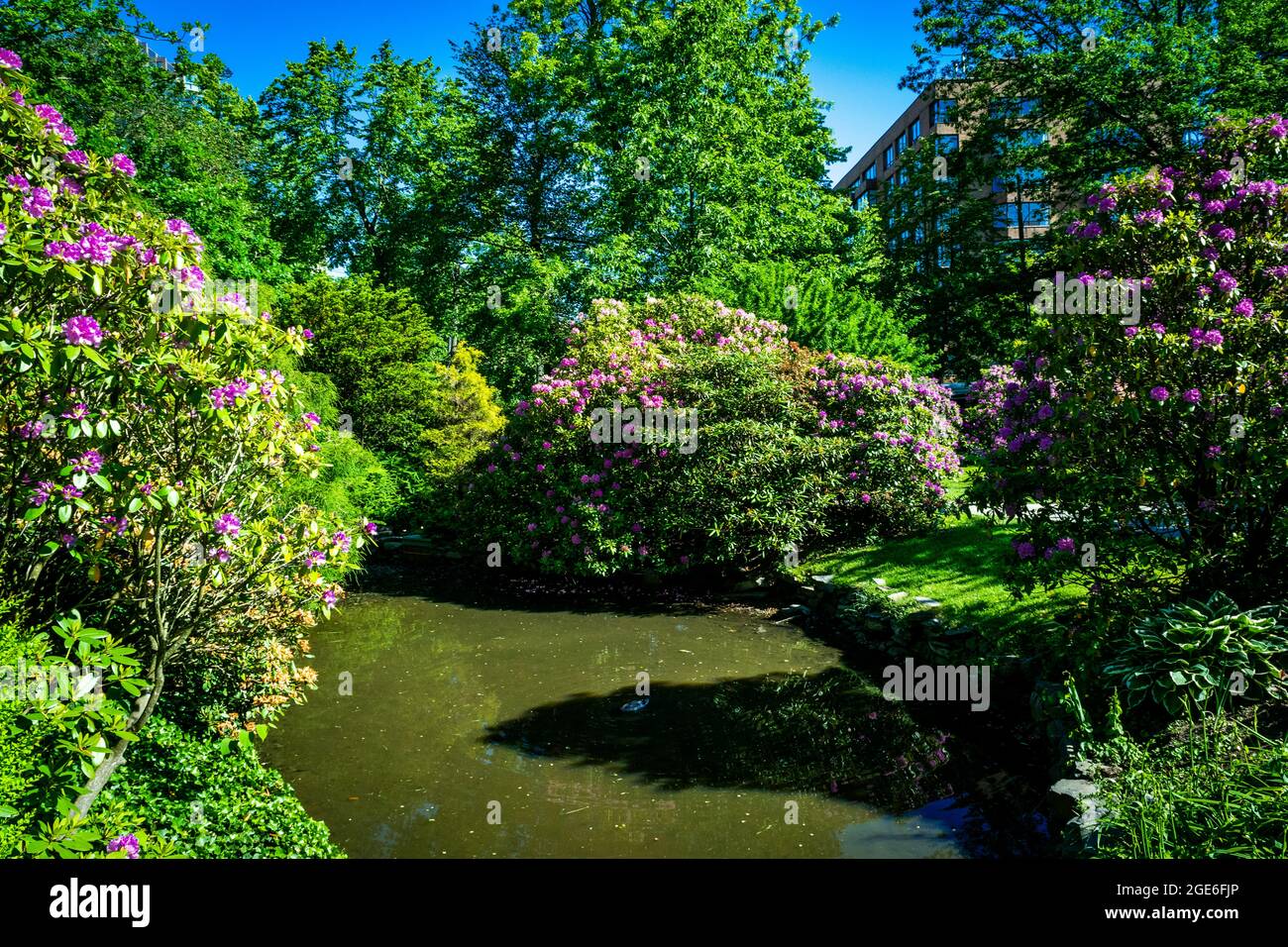 halifax public gardens on a beautiful summer day Stock Photo