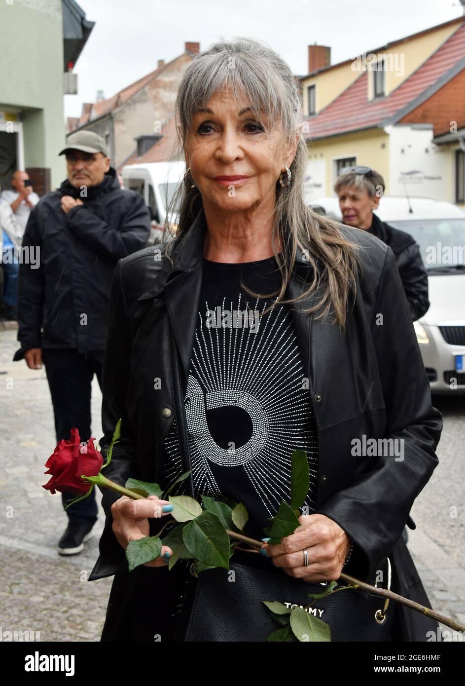 17 August 2021, Brandenburg, Beelitz: With a rose, the actress Uta Schorn comes to the funeral service for Herbert Köfer. The actor died on July 24 at the age of 100. He will be buried in Beelitz. For the fans there will be another funeral service on August 27. Photo: Bernd Settnik/dpa Stock Photo