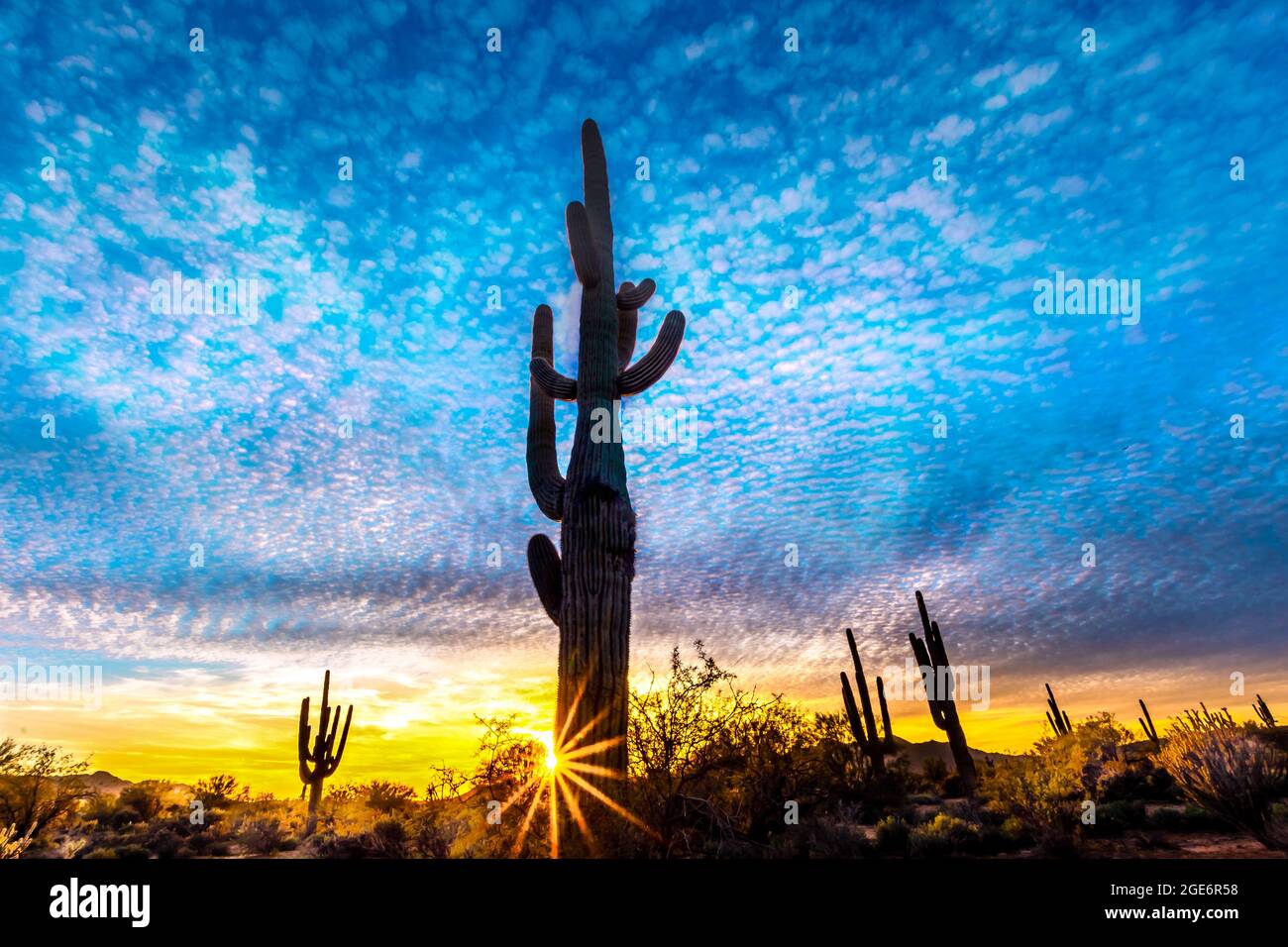 Sonoran Desert Sunset Arizona Stock Photo - Alamy