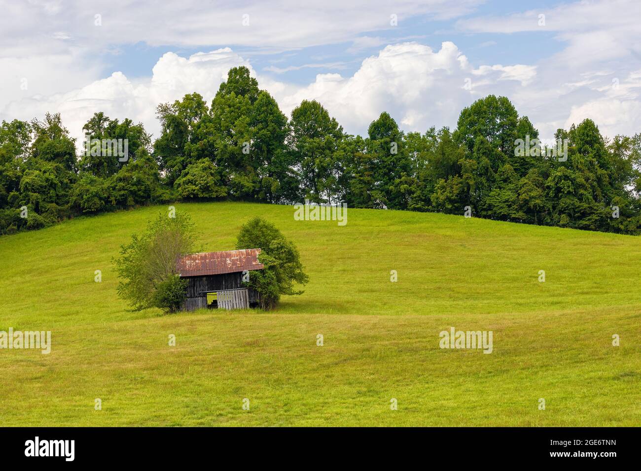 An old decaying outbuilding sets in the middle of a rolling hillside pasture that is bordered with trees under cloudy skies in rural Virginia. Stock Photo