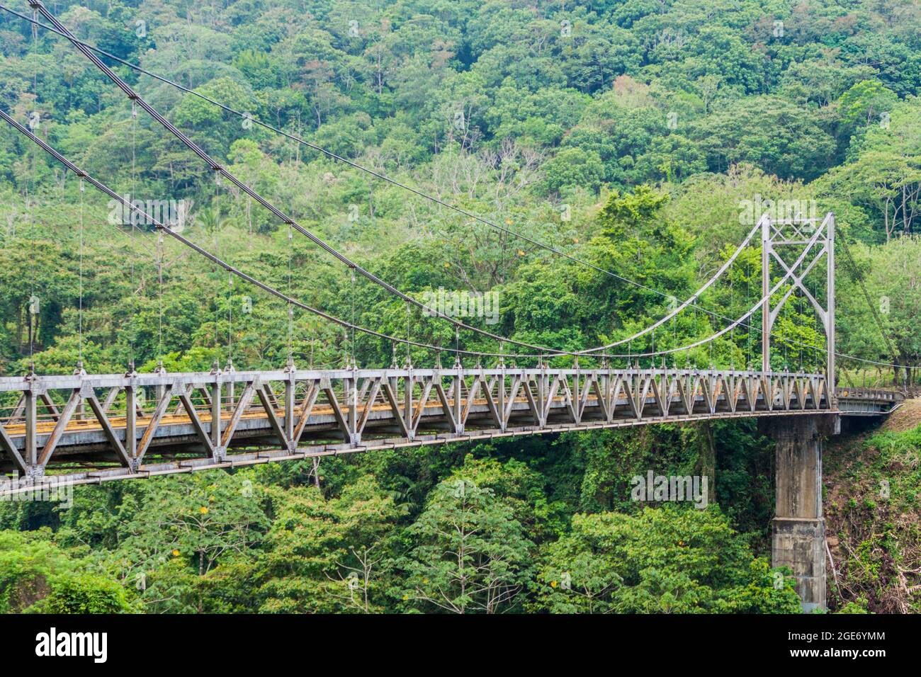 Suspension bridge in Costa Rica Stock Photo Alamy