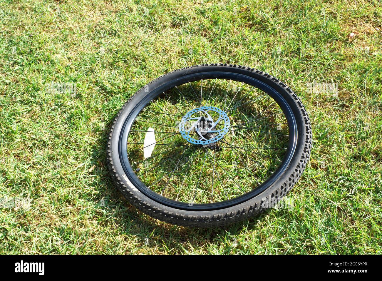 Mountain Bike Tyre with Brake Disk Outdoor on Grass Stock Photo Alamy