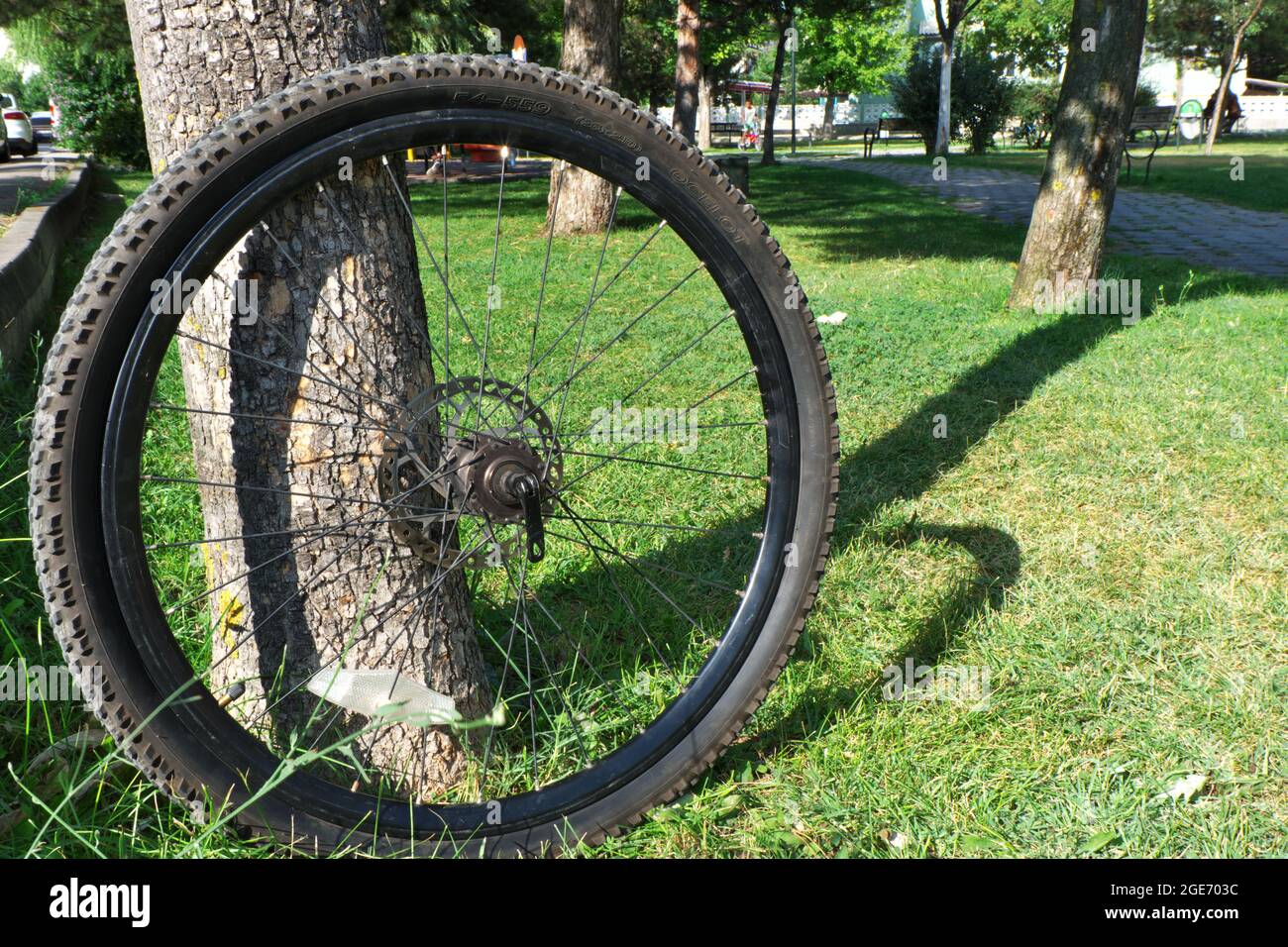 Mountain Bike Tyre with Brake Disk Outdoor on Grass Stock Photo Alamy
