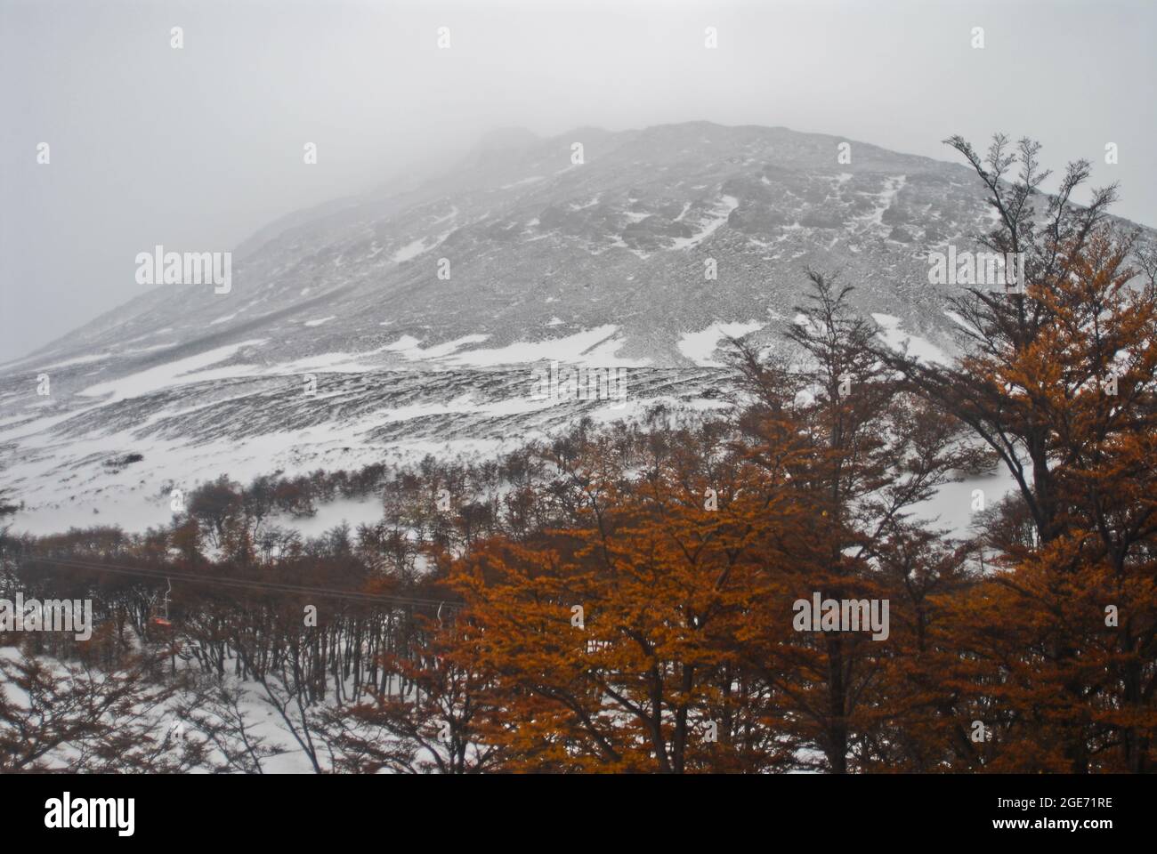Coloured autumn trees on a snowy lanscape. Ushuaia. Tierra del Fuego, Argentina Stock Photo