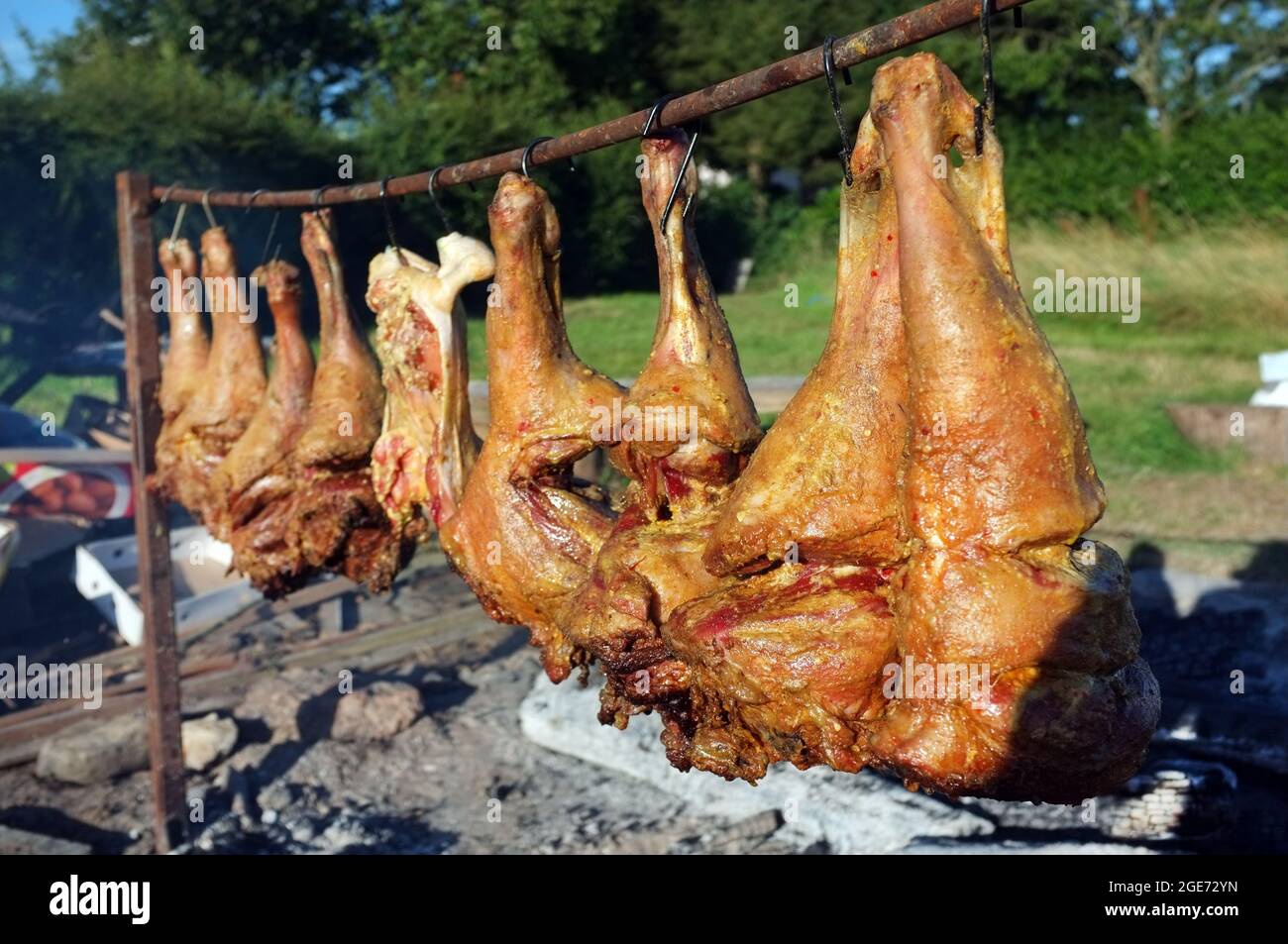 Legs of lamb cooking above an open fire in Suffolk, England Stock Photo