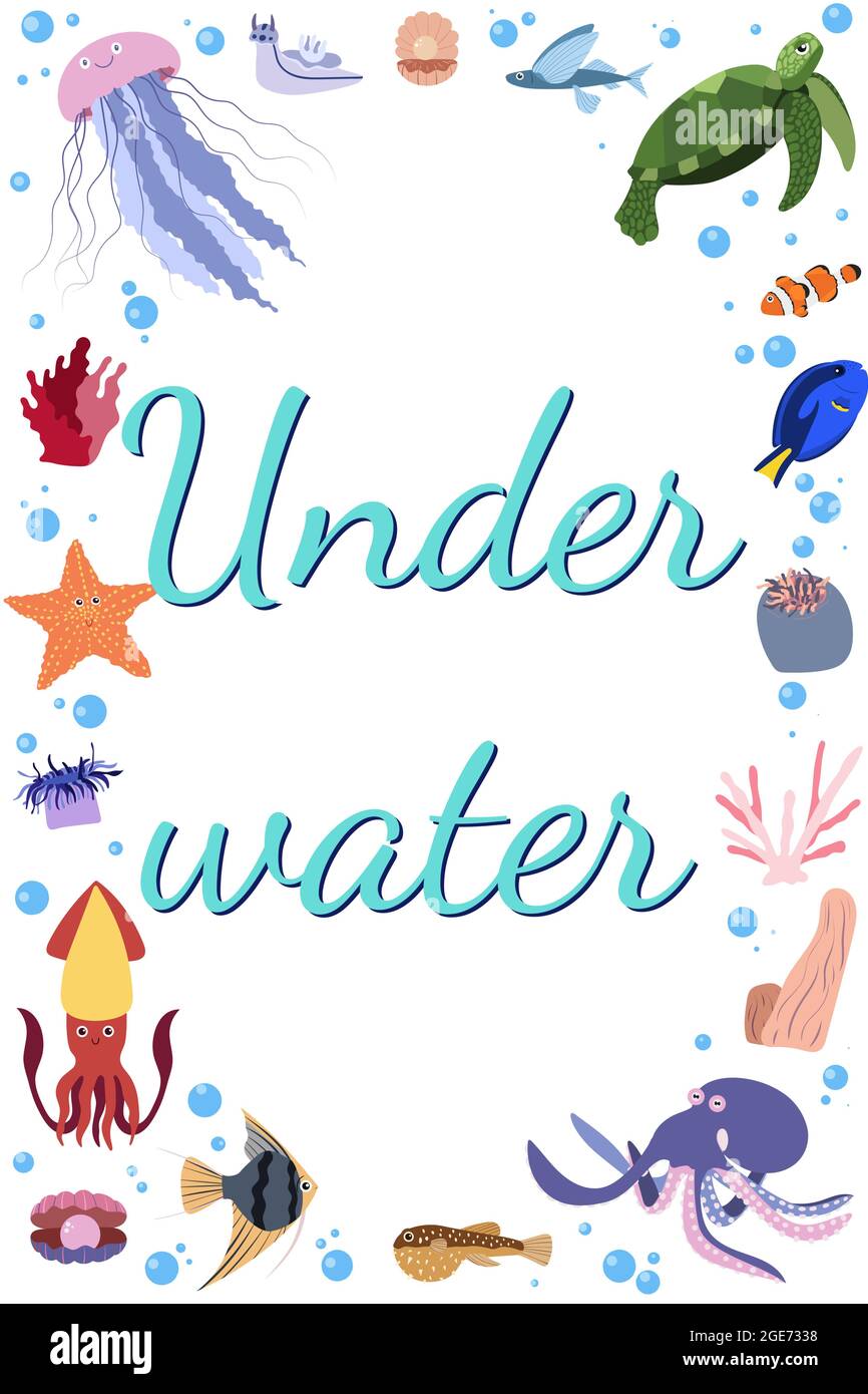 Frame template with cartoon sea animals. Ocean rectangle composition with  jellyfish and turtle, squid, octopus, fish and shell. Underwater life Stock  Vector Image & Art - Alamy