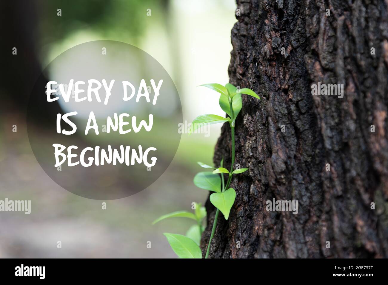 Life Inspirational Quotes - Everyday is a new beginning - Nature background Stock Photo