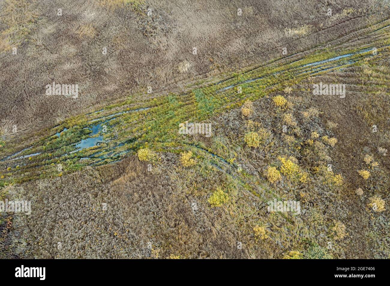 country road between swampy fields. wetland landscape. aerial view from flying drone Stock Photo