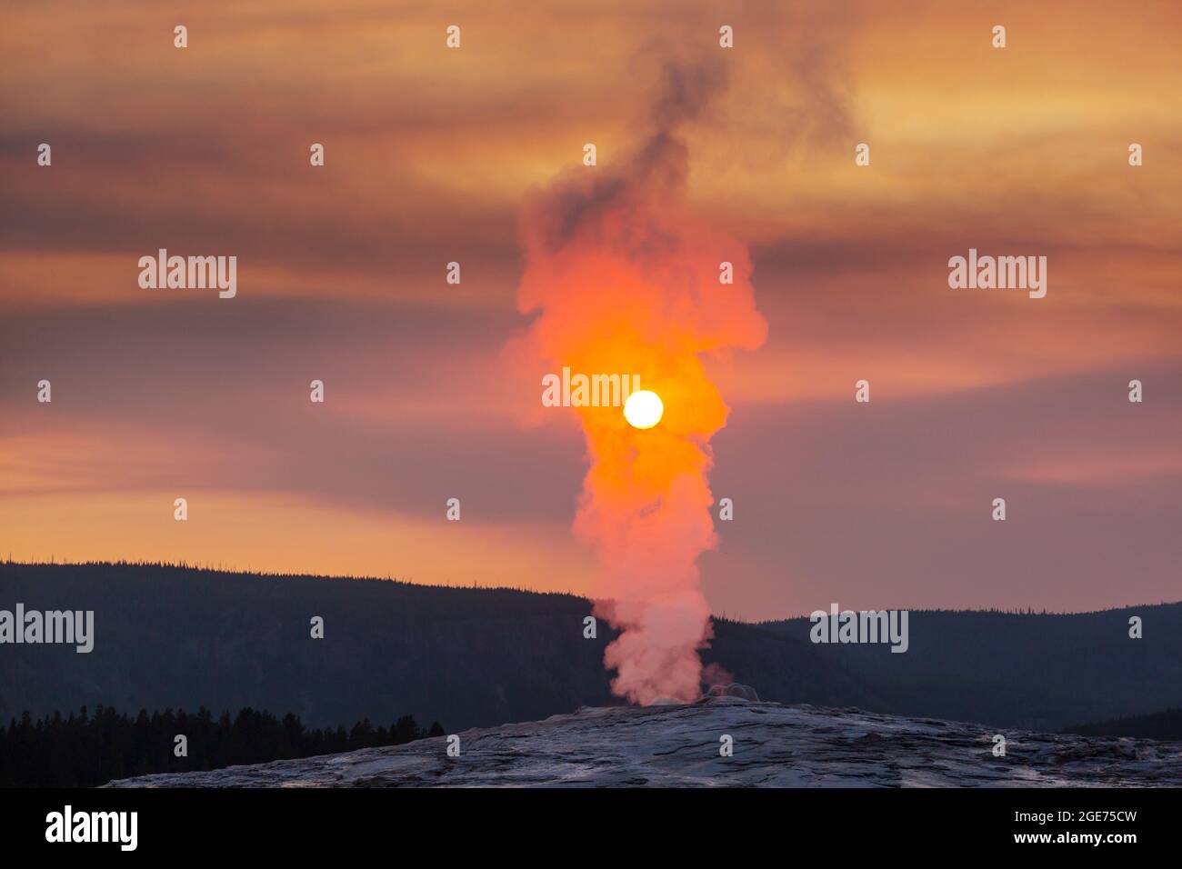 Old Faithful Geyser Eruption in Yellowstone National Park at Sunset ...