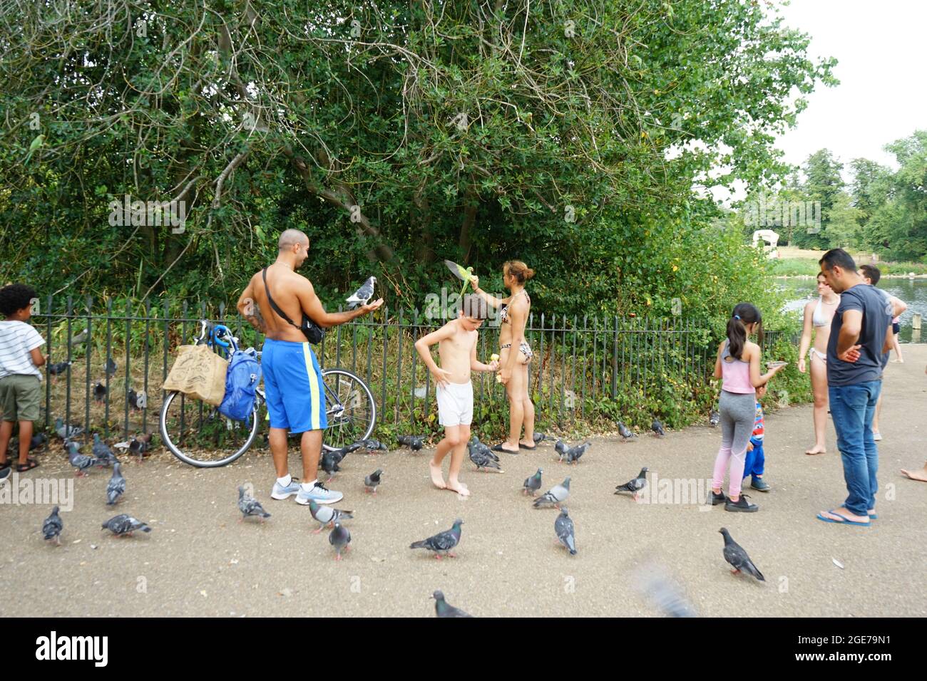 Birds lovers interacting and feeding birds at Hype Park in London