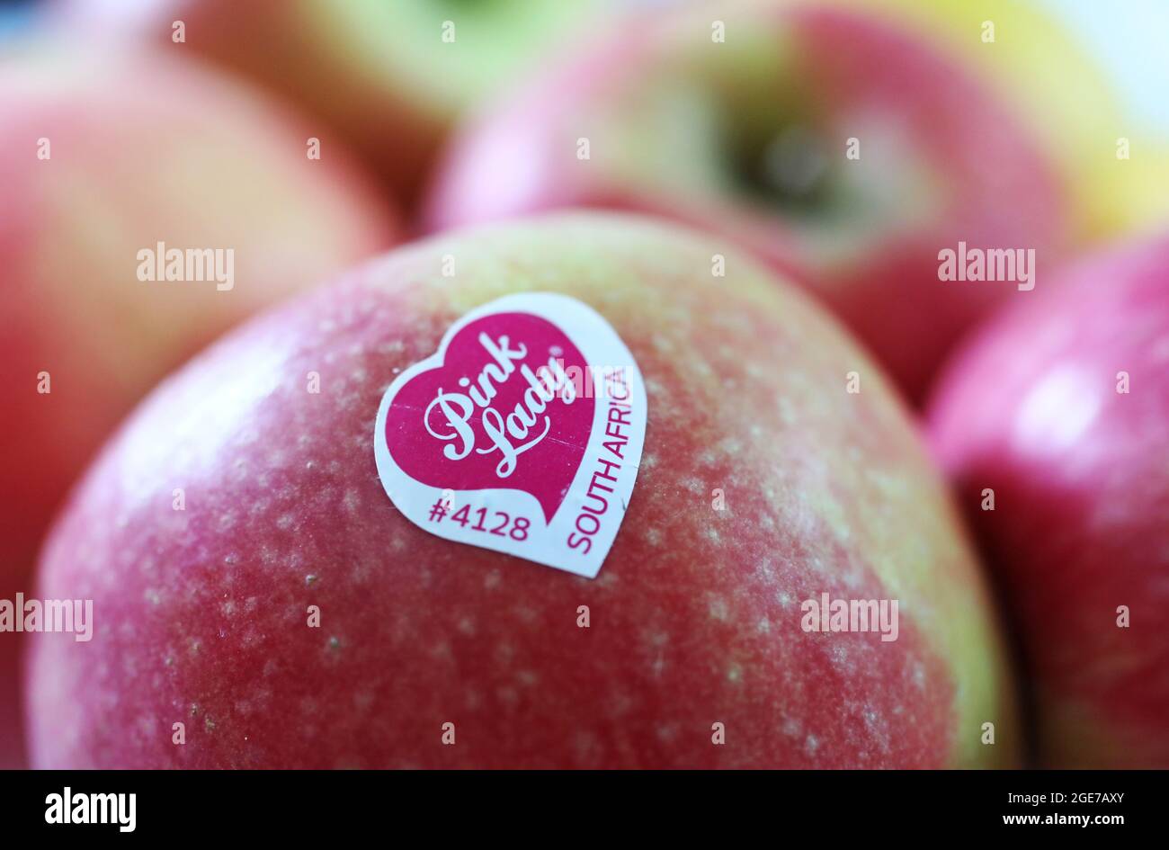 Pink lady apples from South Africa Stock Photo Alamy