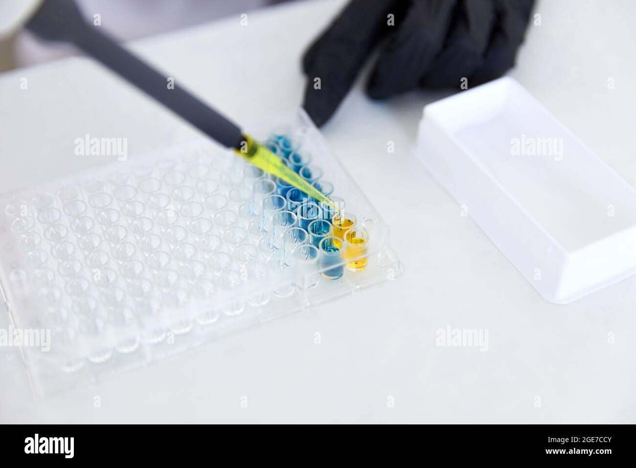 Lab Worker Adding Liquid to Test Tubes Stock Photo