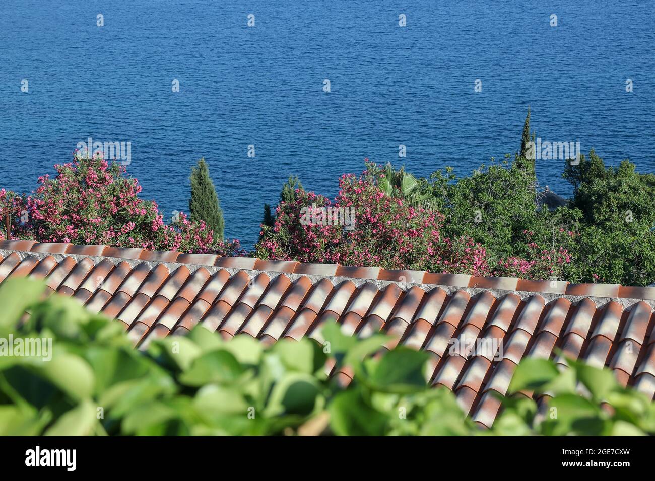 Closeup of colorful rooftop, blossoming bougainvillea tree, trees and blue sea. Stock Photo