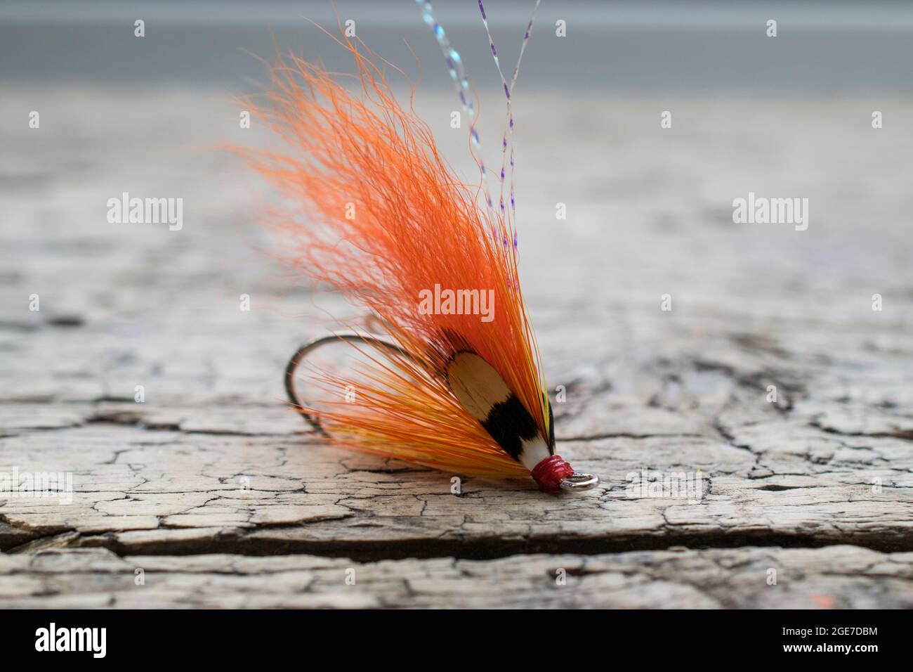 Shiny salmon fishing fly with yellow flash on a wood surface Stock Photo