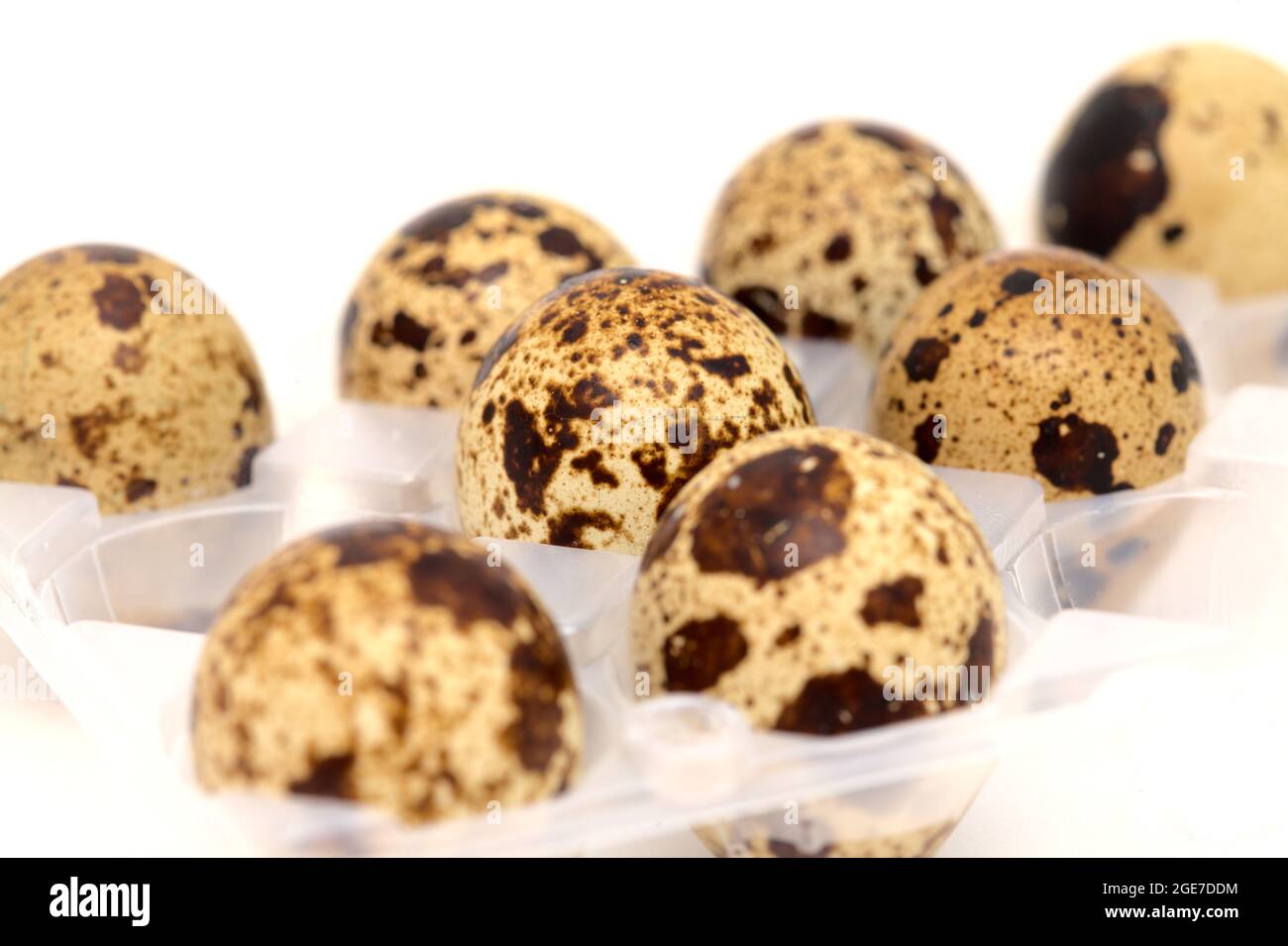 small speckled quail eggs isolated on white background Stock Photo