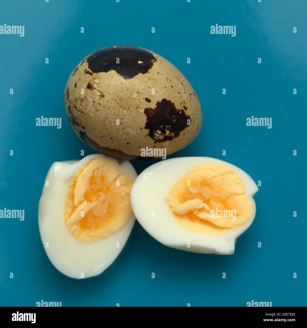 A closer look at Smallest Boiled Quail Eggs