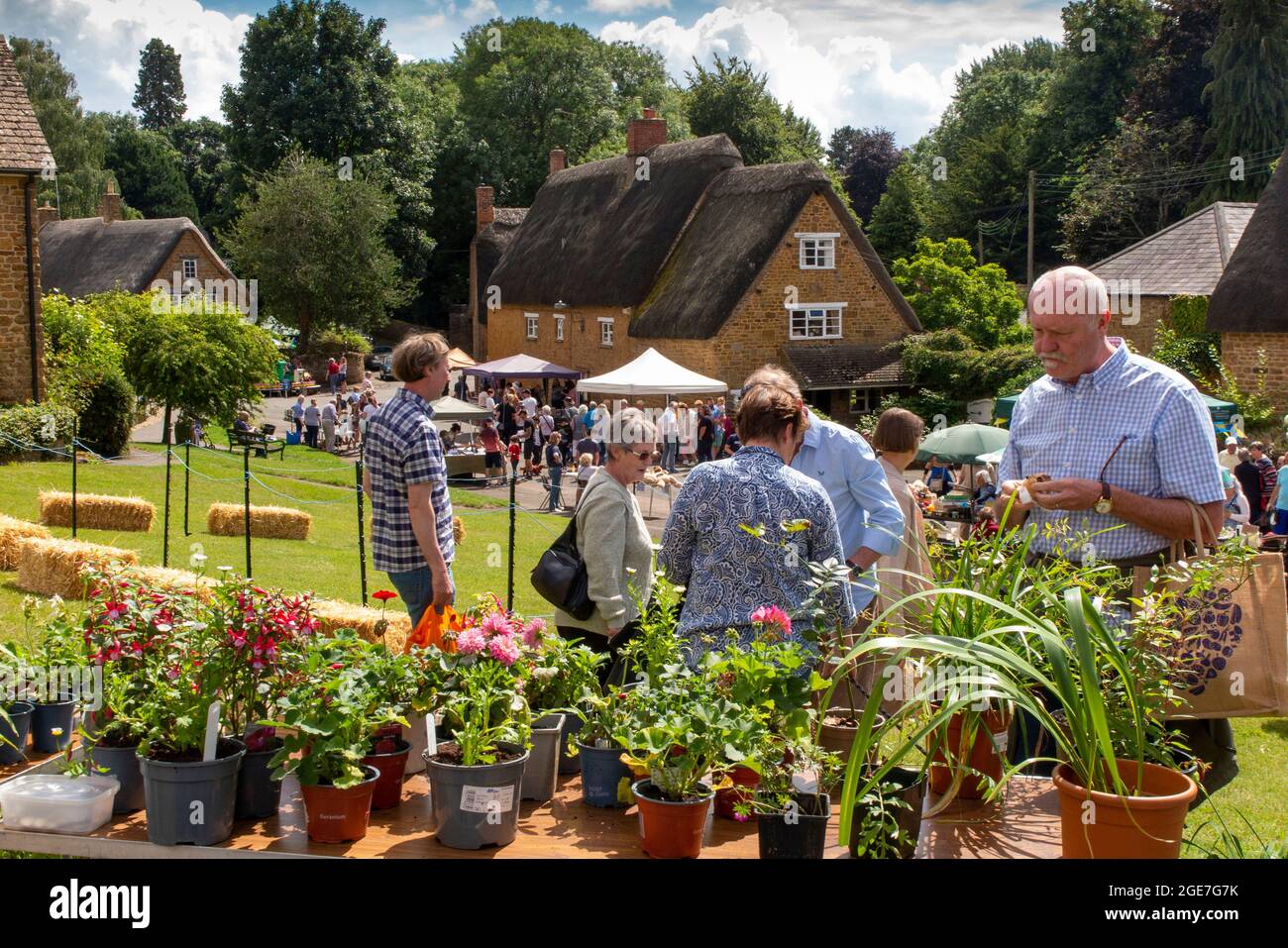 UK, England, Oxfordshire, Wroxton, village green, annual church fete in progress, plant stall Stock Photo