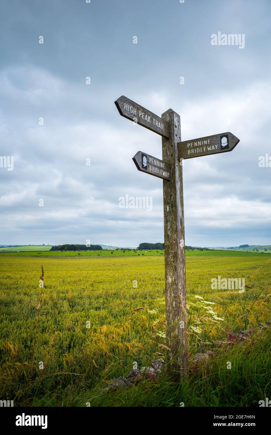 Vertical shot of signs pointing to different directions in the field ...