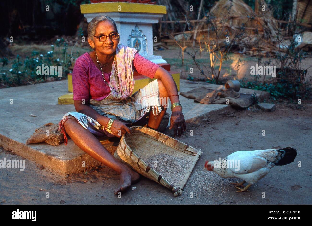 Local woman feeding chicken, Baga, Goa, India Stock Photo