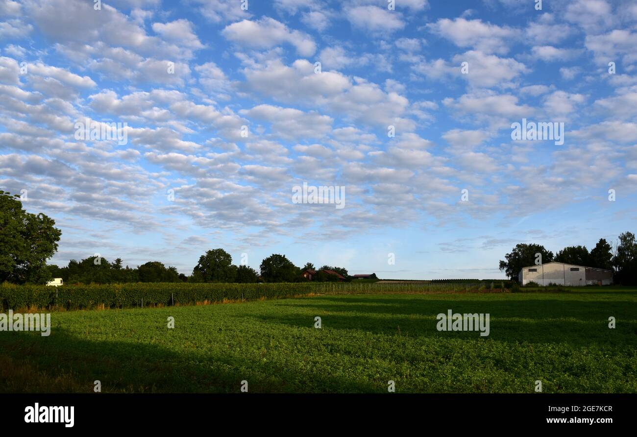 Cumulus clouds above the countryside on a clear, sunny day Stock Photo ...